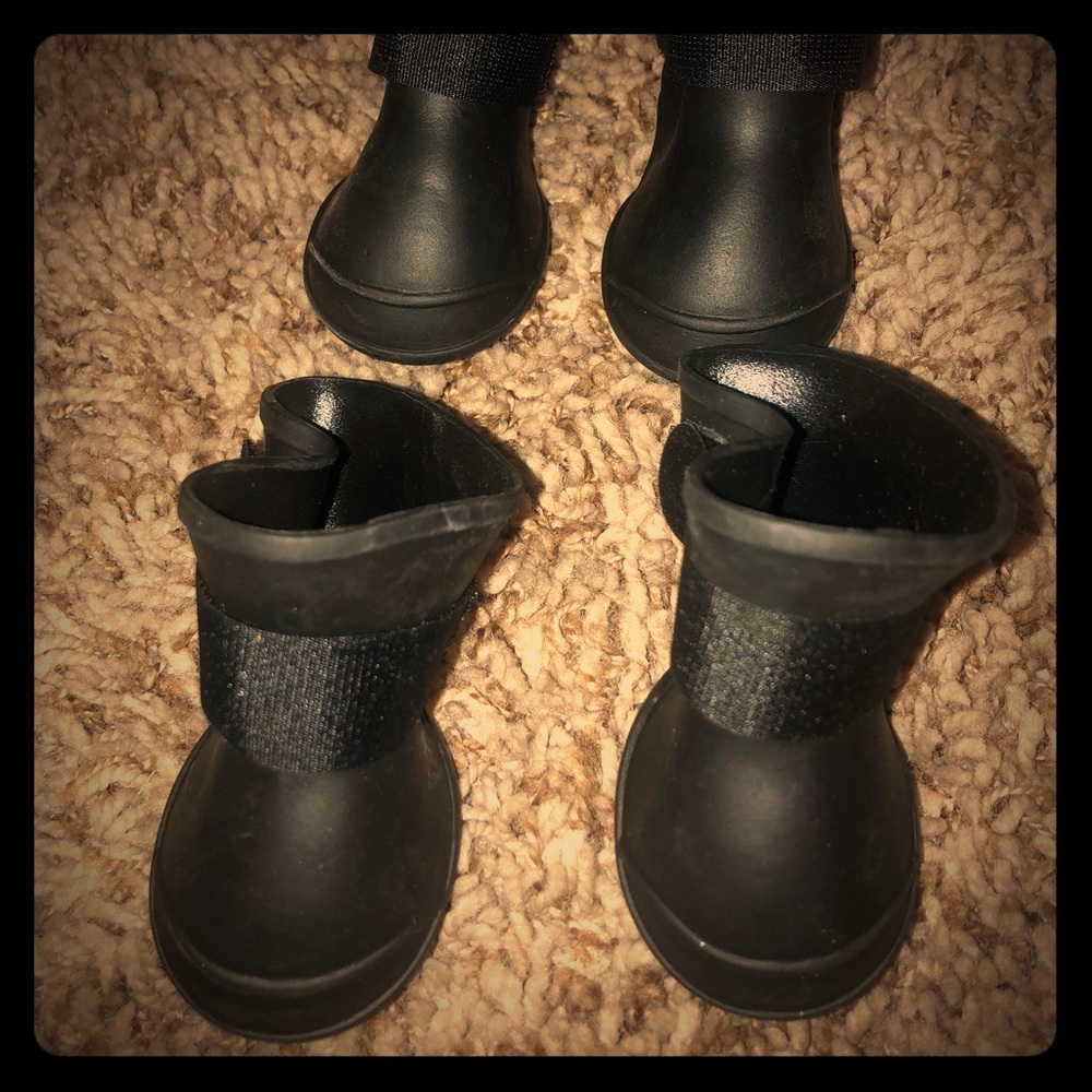 Dog Booties
